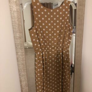 J.Crew factory polka dot dress (above knee)
